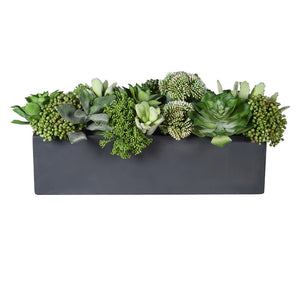Succulents and Skimmia Arrangement in Faux Marble