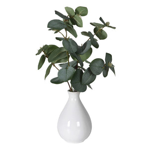 Eucalyptus in White Ceramic Vase