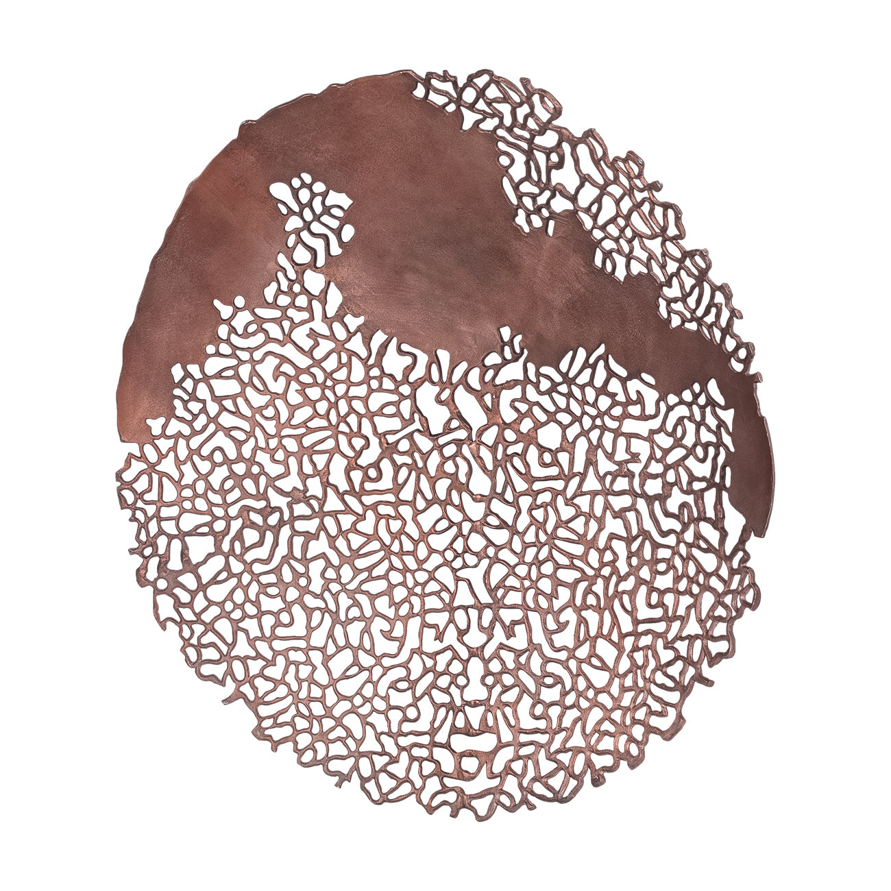 Apo Coral Raw Bronze Wall Plaque
