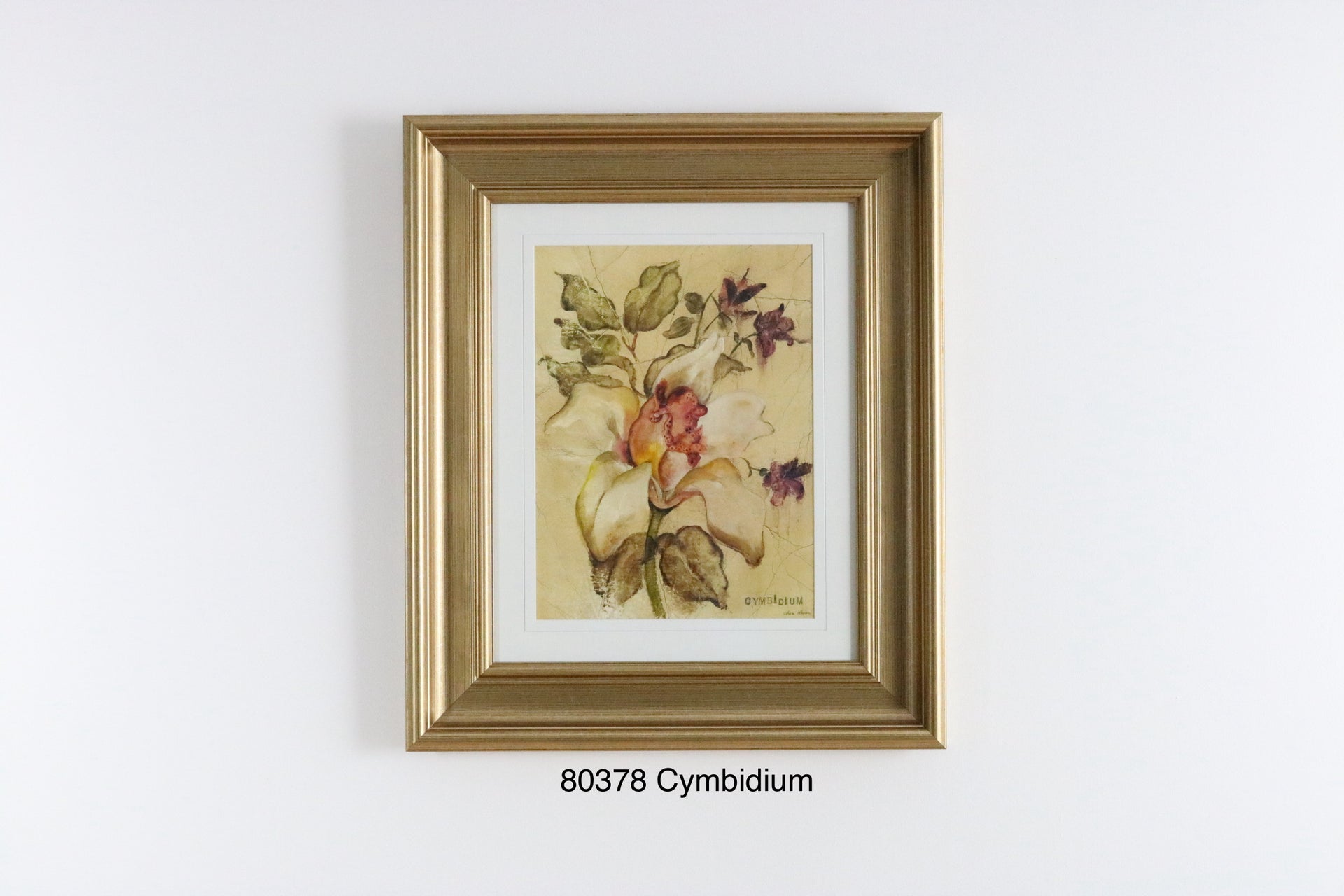 CYMBIDIUM