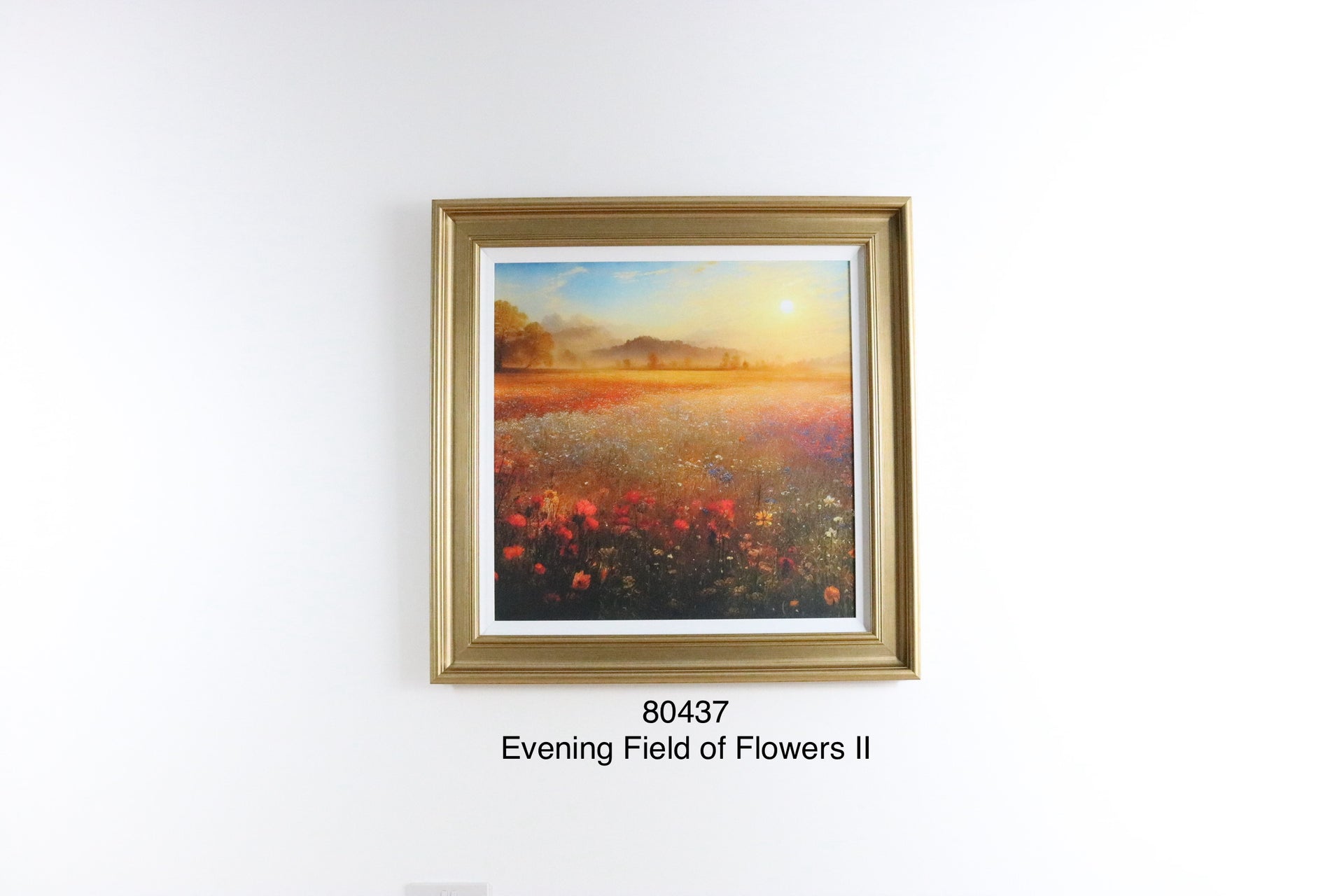 EVENING FIELD OF FLOWERS 11