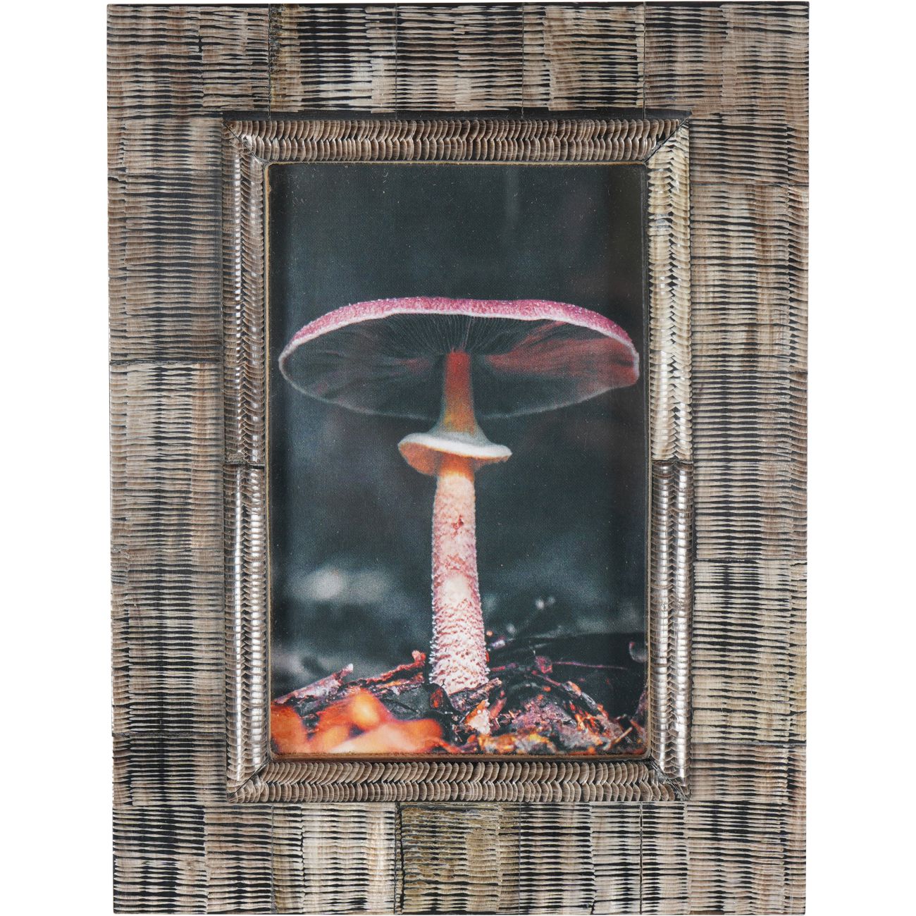 Rustic Brown Horn Photo Frame 10x15cm