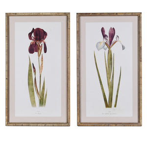 IRIS WALL ART S/2