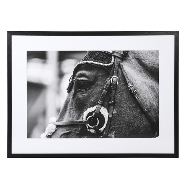 'Anticipation' Framed Picture