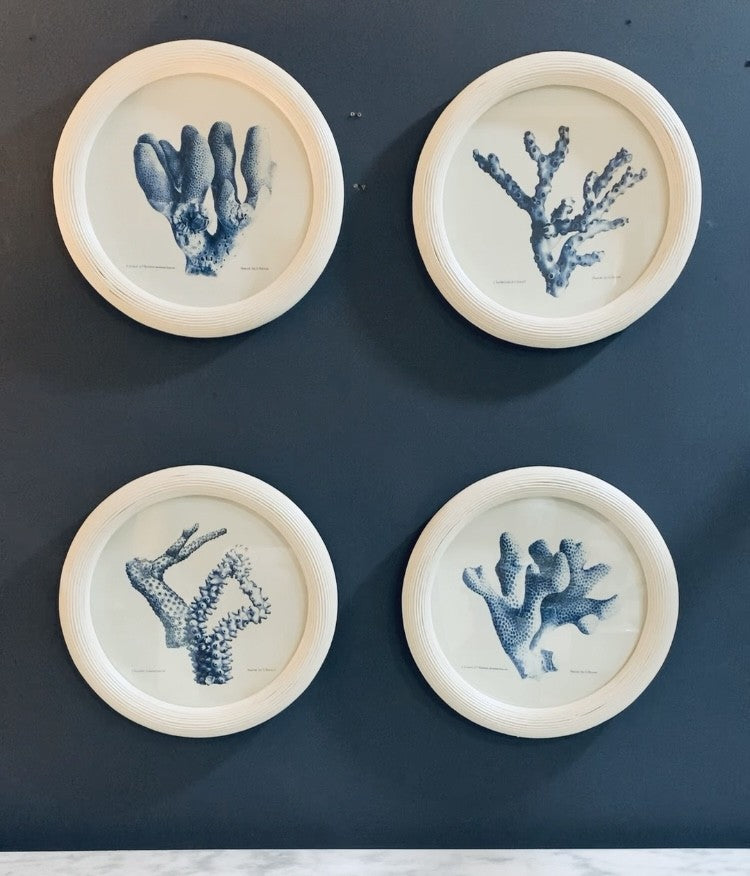 Blue Sea Coral Picture Set of 4