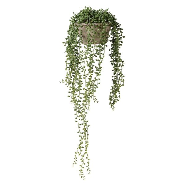 Decorative String of Pearls in Cement Pot