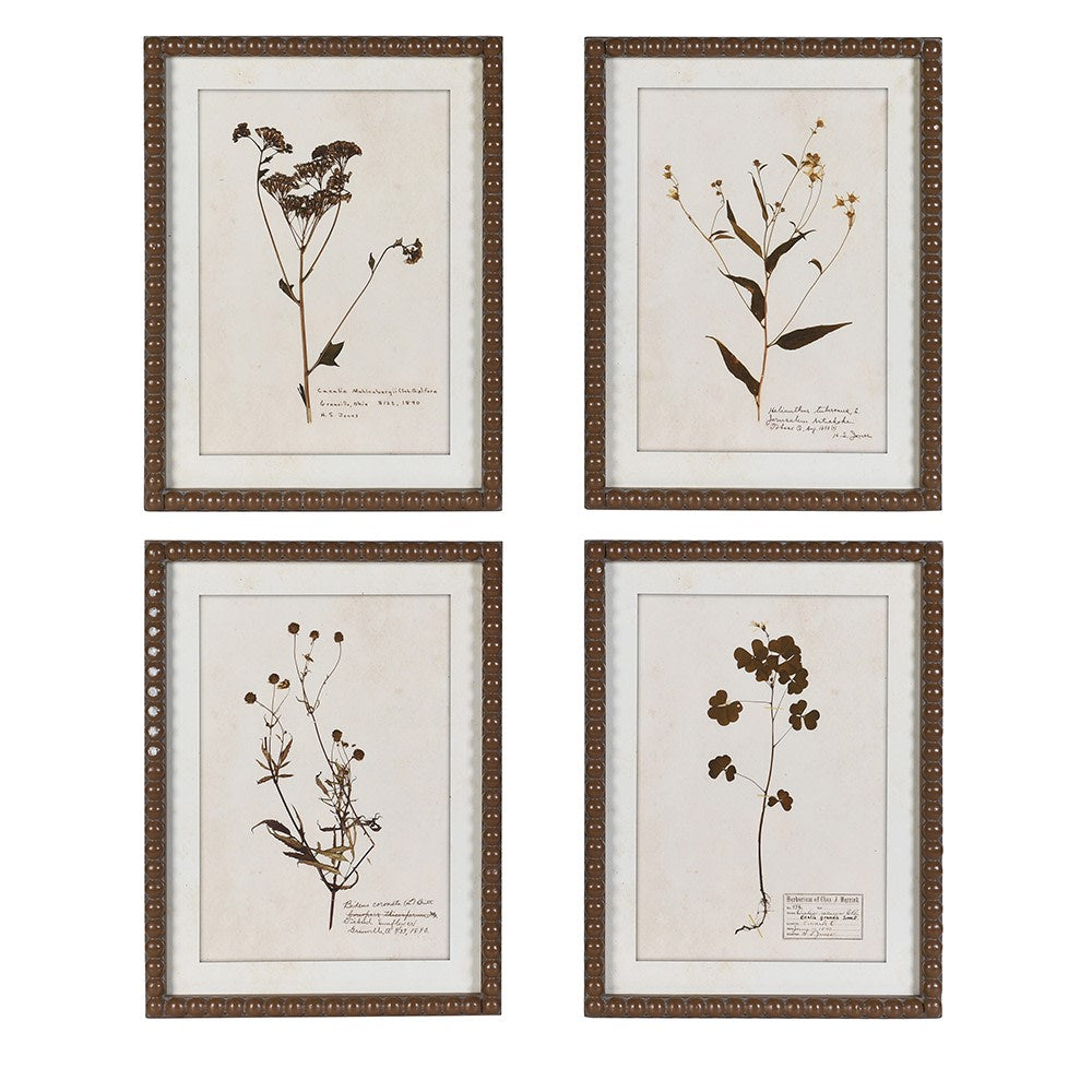 Delicate Framed Floral Picture Set of 4