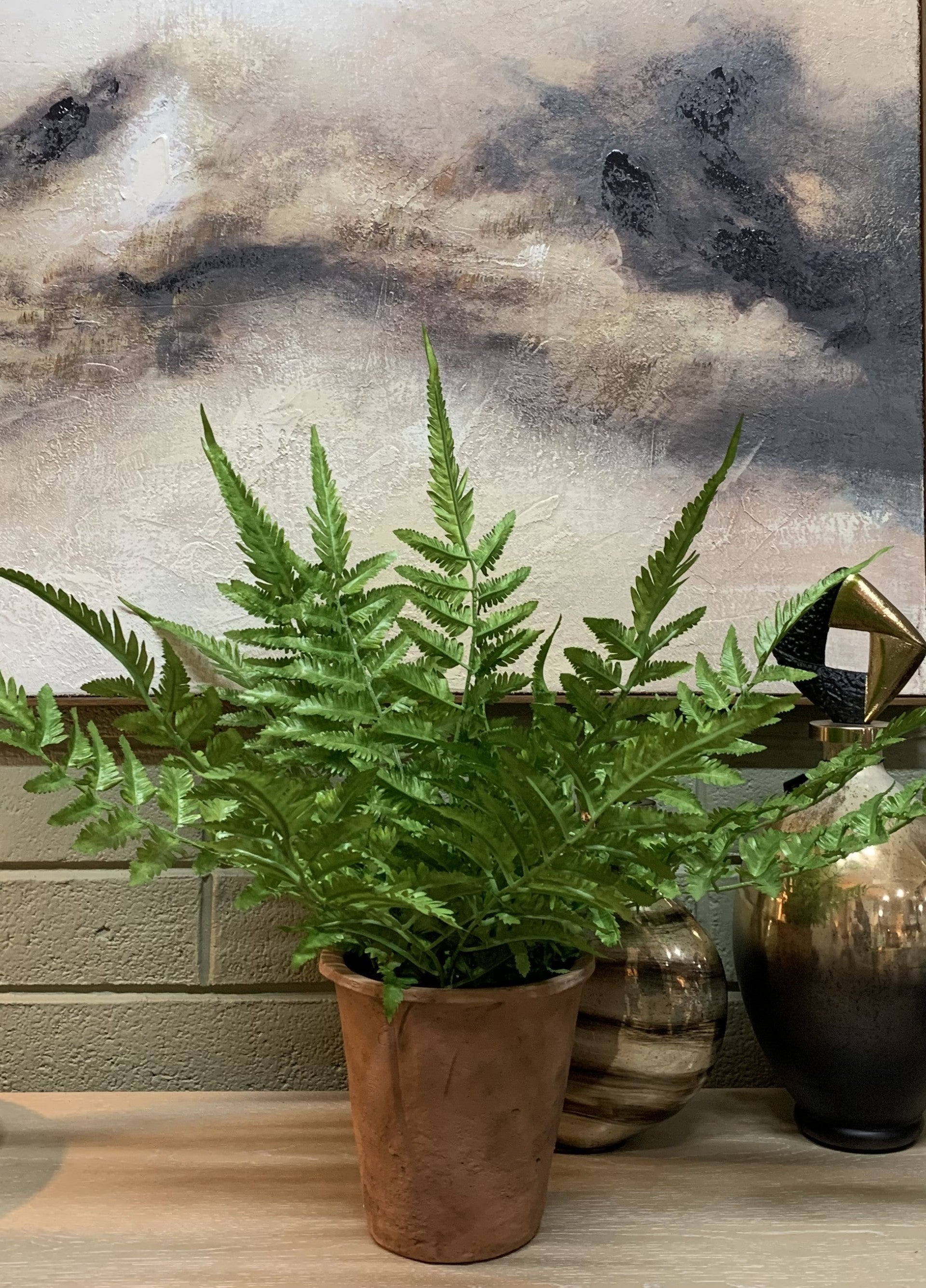 Fern in Teracotta Pot