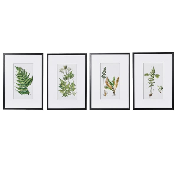 Ferne Floral Pictures Set of 4