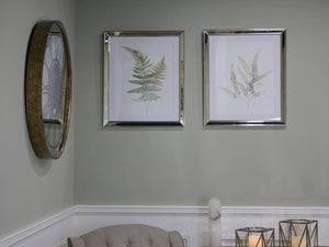 Ferns Set of 2