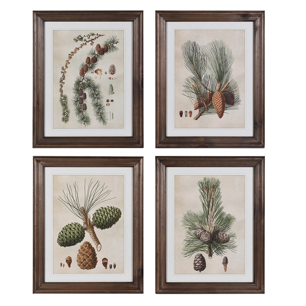 Framed Pinecone Picture Set of 4