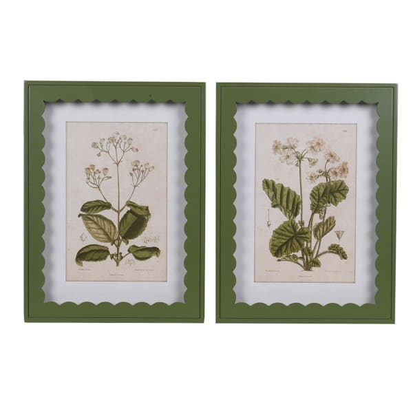 Framed Primula Prints with Scallop Edge Set of 2