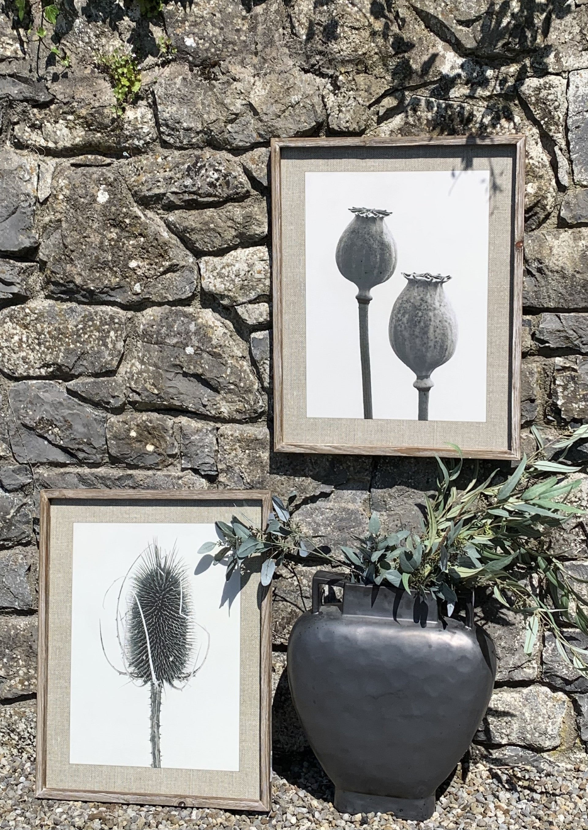 Set of 2 Framed Prints with Poppy & Teasel