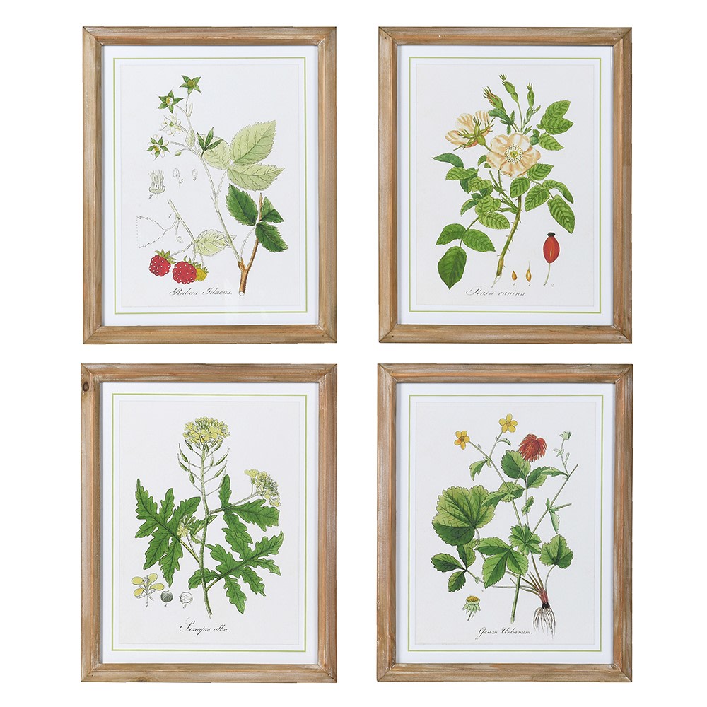 Garden Wall Art Set of 4