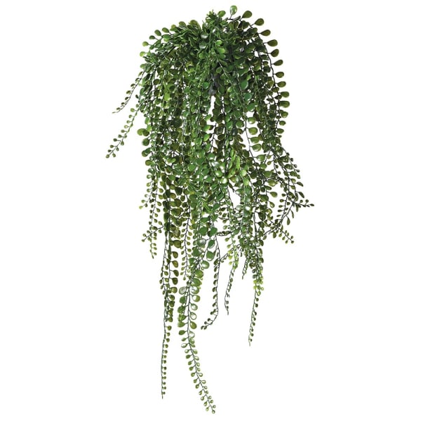 Green Pea Leaf Hanging Plant