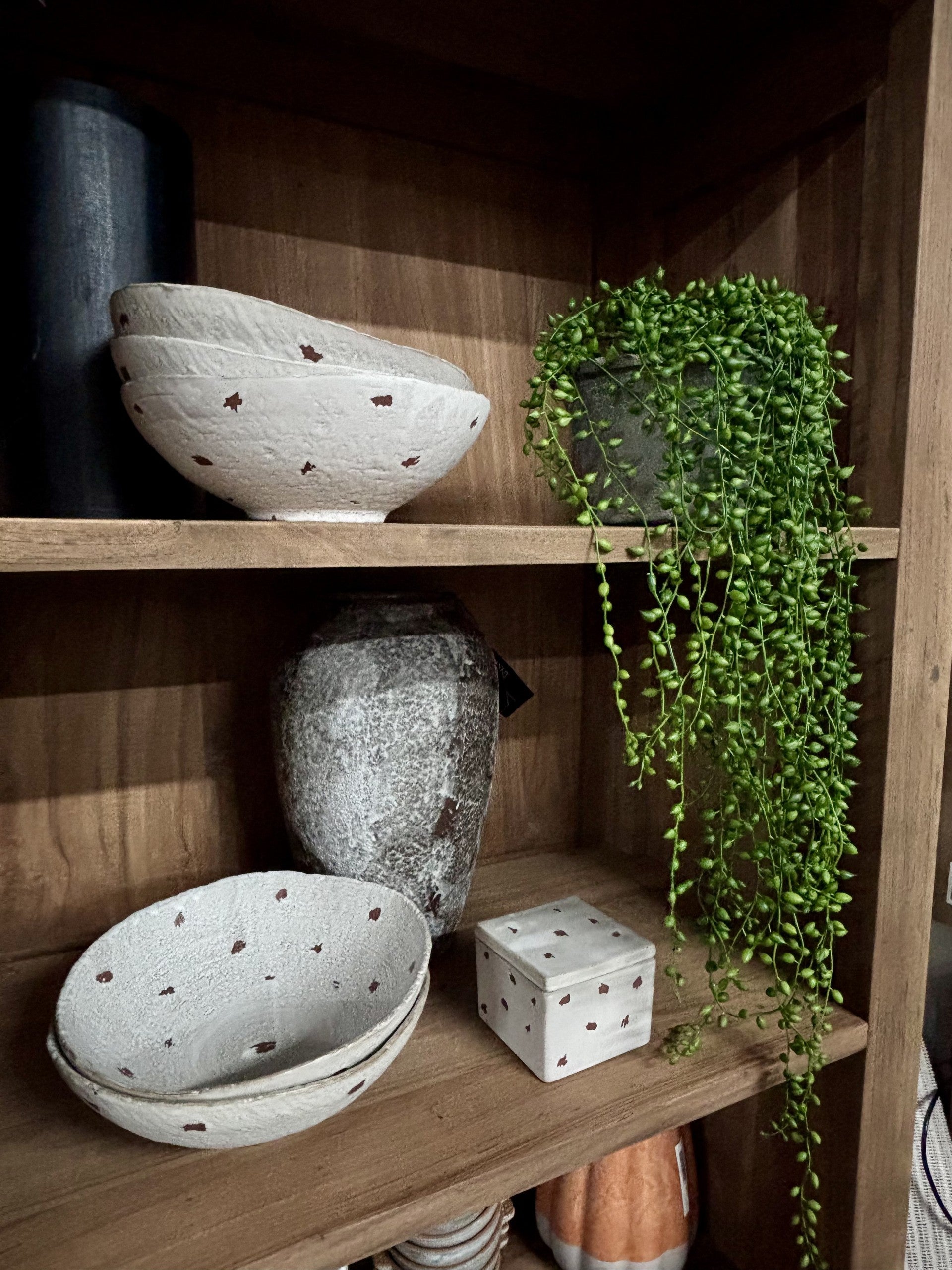 Green Pea Leaf Hanging Plant