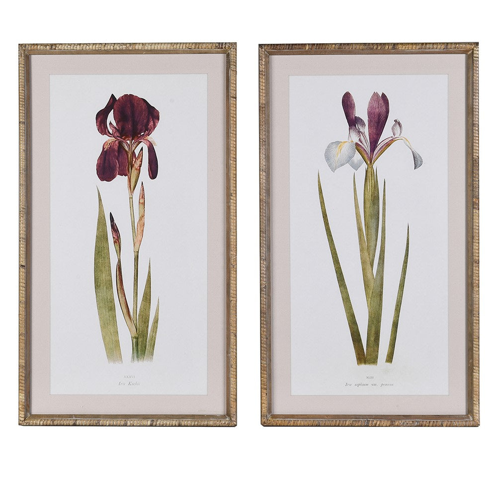 Iris in Bloom Picture Set of 2