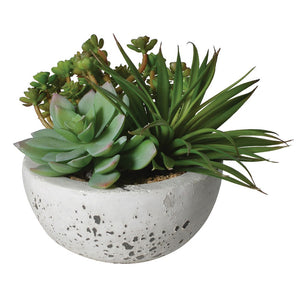Ass.Grn.Succulents in Bowl