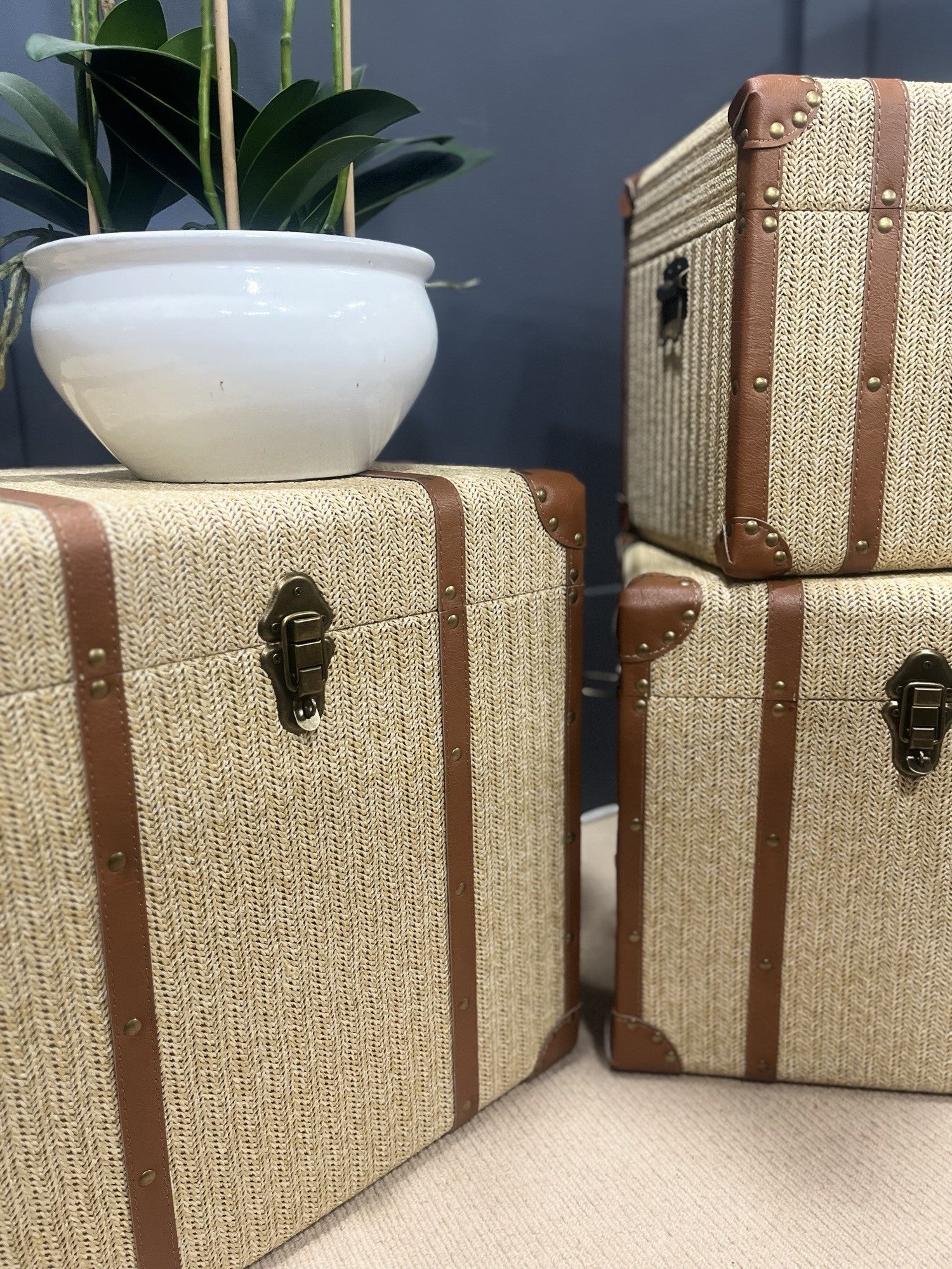 Poppy Trunks Set of 3