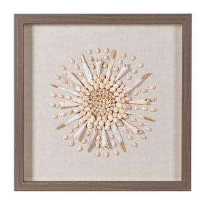 Shells Wall Art