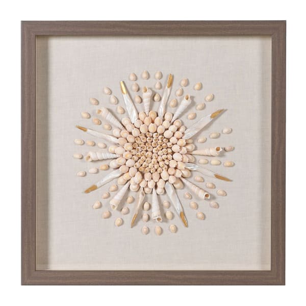 Shells Wall Art