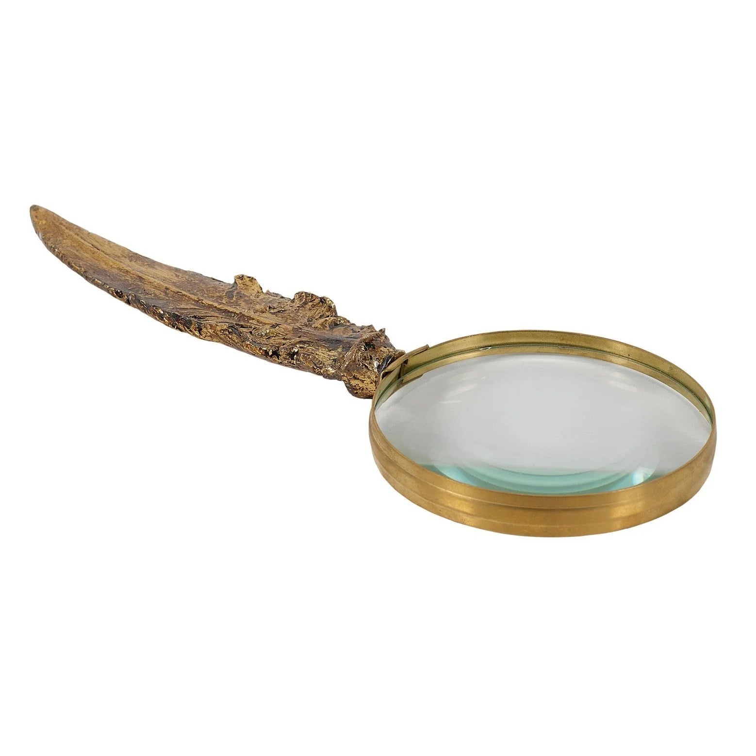 Feather Magnifier