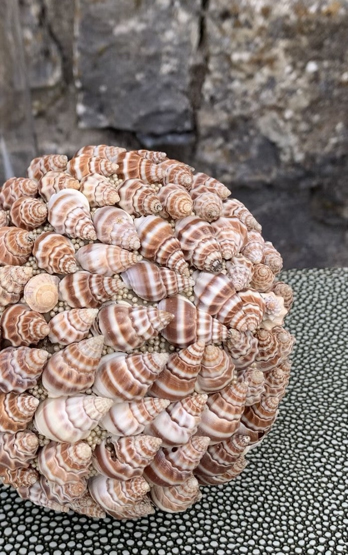 Shell Decoration