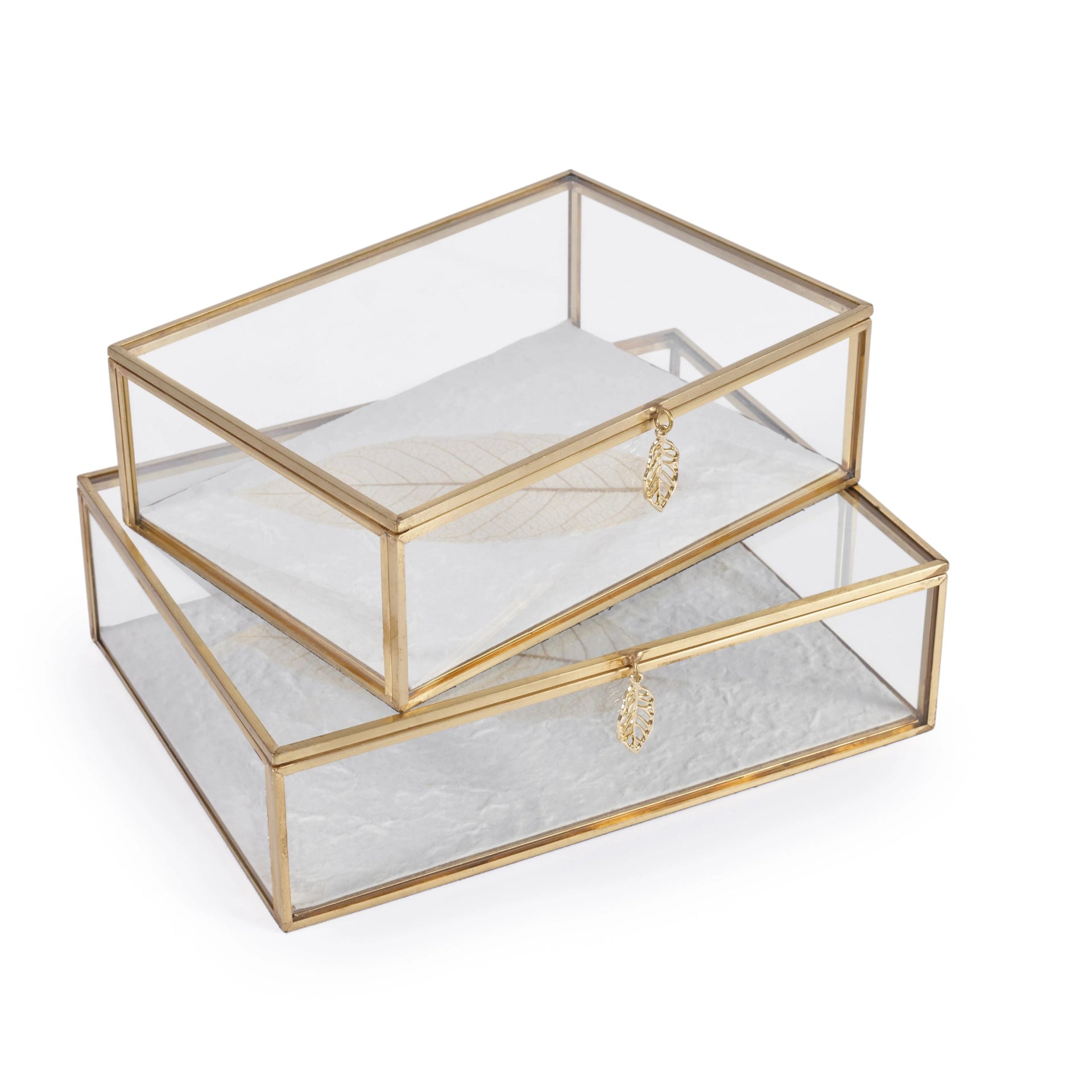 LEAF GLASS BOX SMALL - Abbey Furniture - Home & Interiors