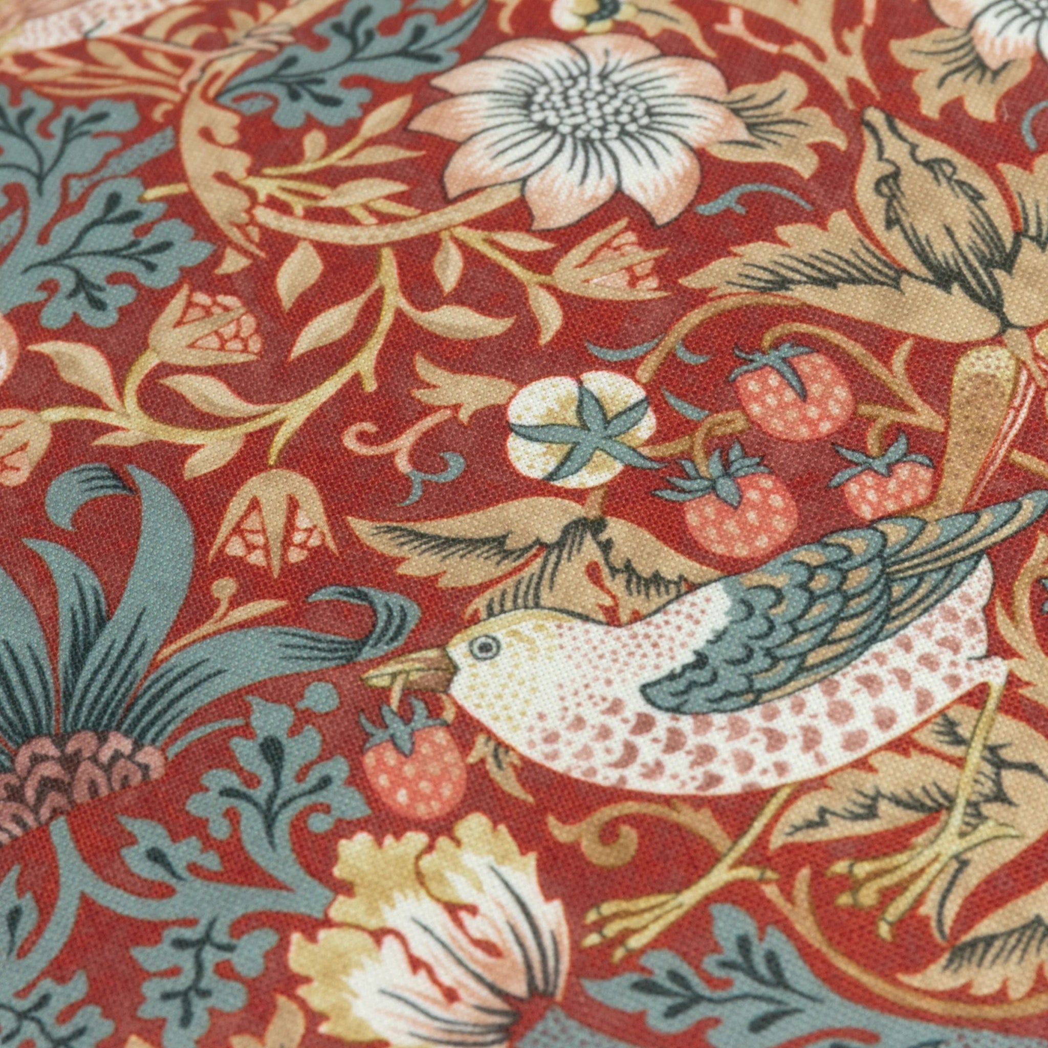 Strawberry Thief Piped Outdoor Cushion Berry 50x50 - Abbey Furniture - Home & Interiors