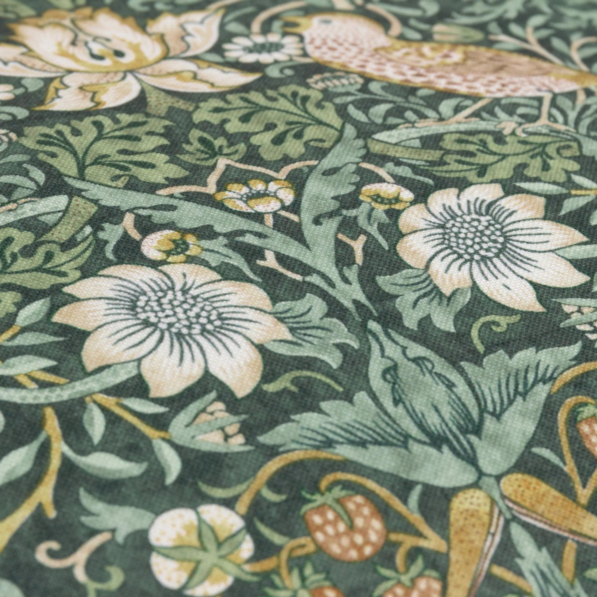 Strawberry Thief Piped Outdoor Cushion Forest Green 50x50 - Abbey Furniture - Home & Interiors