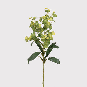 Green/Lime Euphorbia Spray