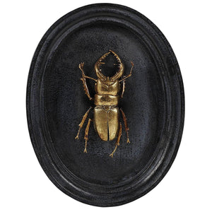 Insect Plaque (Set of 3)