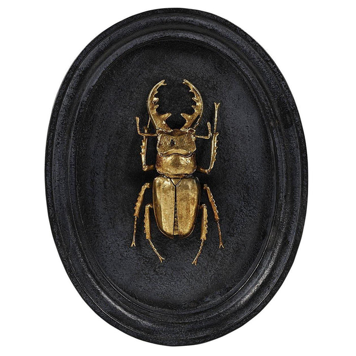 Insect Plaque (Set of 3)