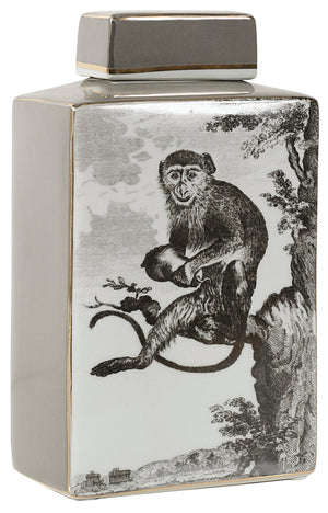 Monkey Jar (MY079)