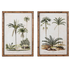 Set of 4 Palm Tree Pictures