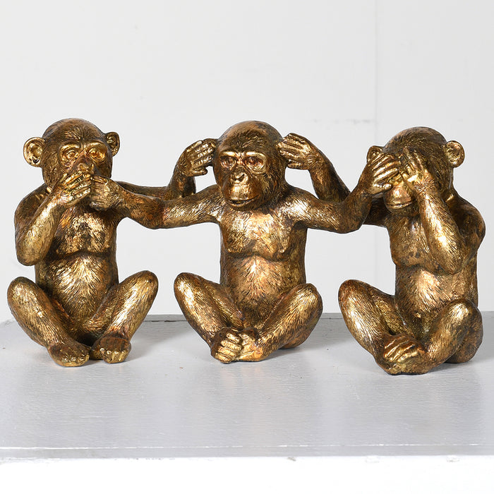 Gold Monkeys